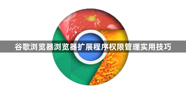 谷歌浏览器浏览器扩展程序权限管理实用技巧1