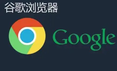 Chrome浏览器插件隐私权限查看与管理方法