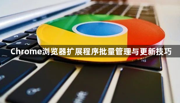 Chrome浏览器扩展程序批量管理与更新技巧1
