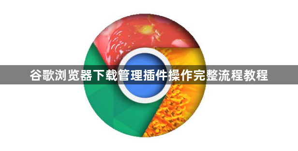 谷歌浏览器下载管理插件操作完整流程教程1