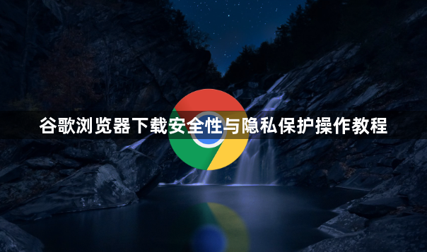 谷歌浏览器下载安全性与隐私保护操作教程1