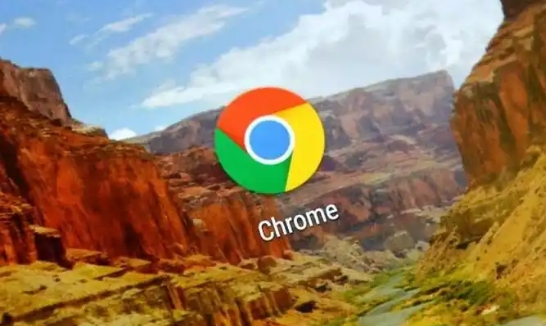 Chrome浏览器下载后如何启用自动填充功能