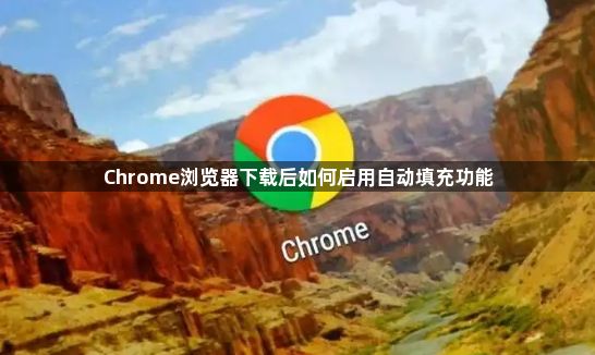 Chrome浏览器下载后如何启用自动填充功能1