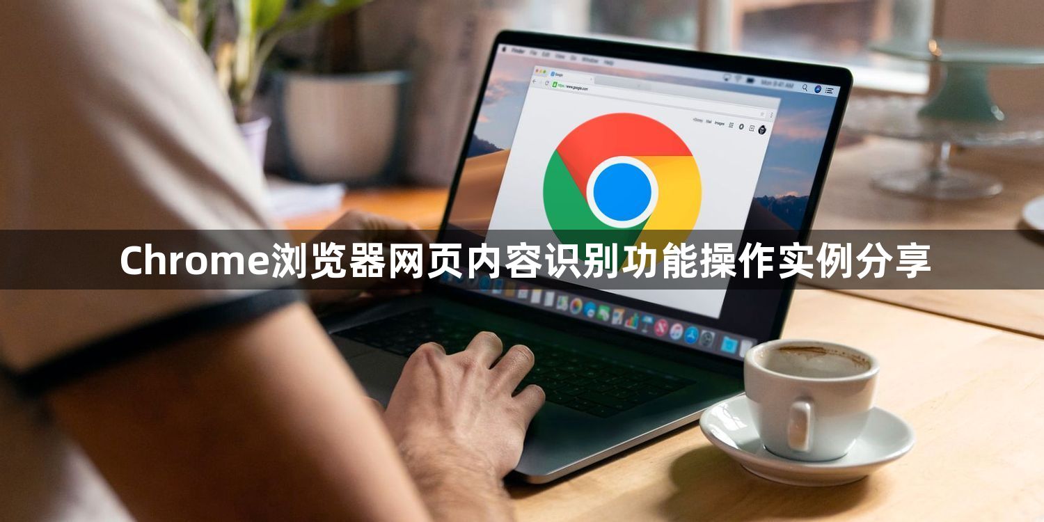 Chrome浏览器网页内容识别功能操作实例分享1