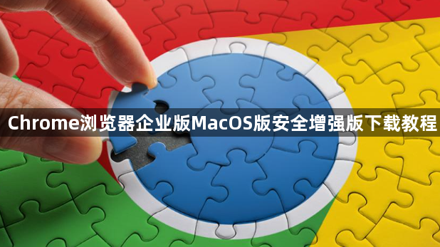 Chrome浏览器企业版MacOS版安全增强版下载教程1